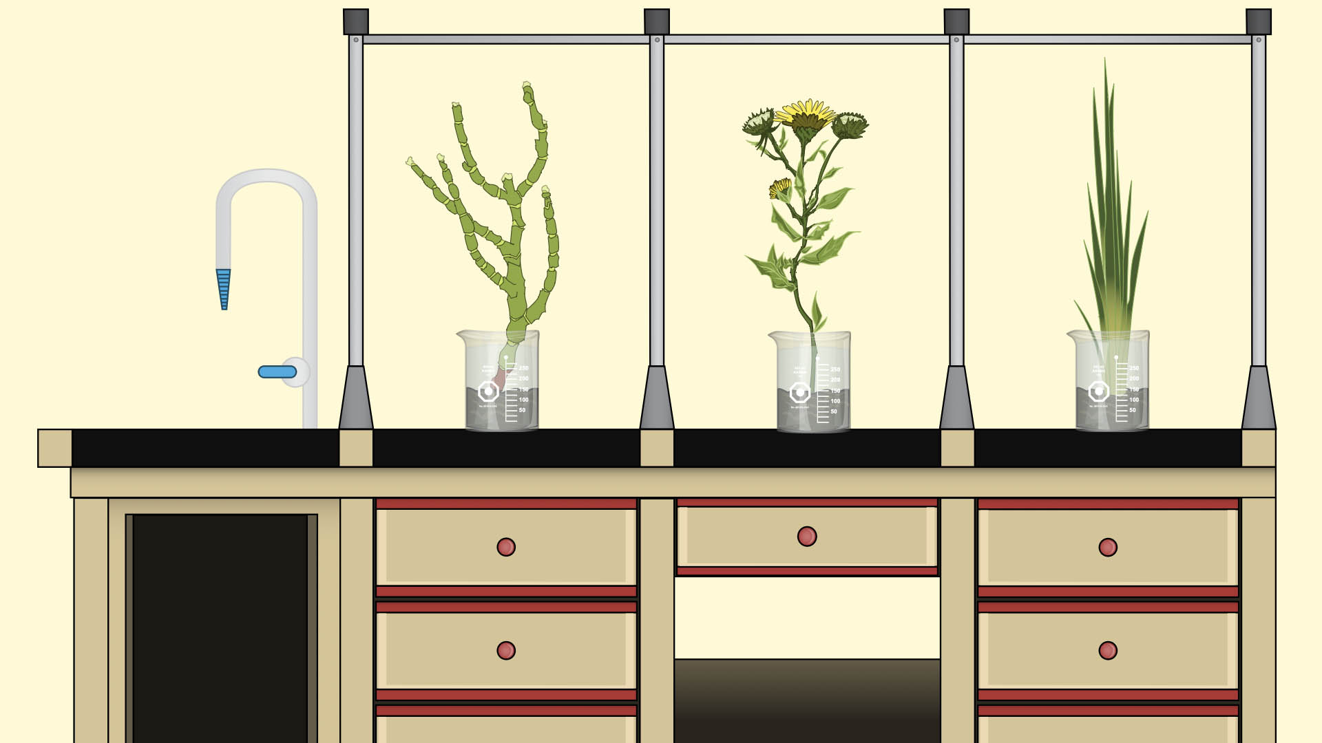 Trellix Thrive Resouces lesson screenshot example